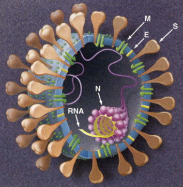 Figure 222-2