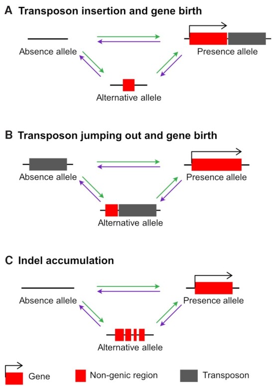 Figure 4.