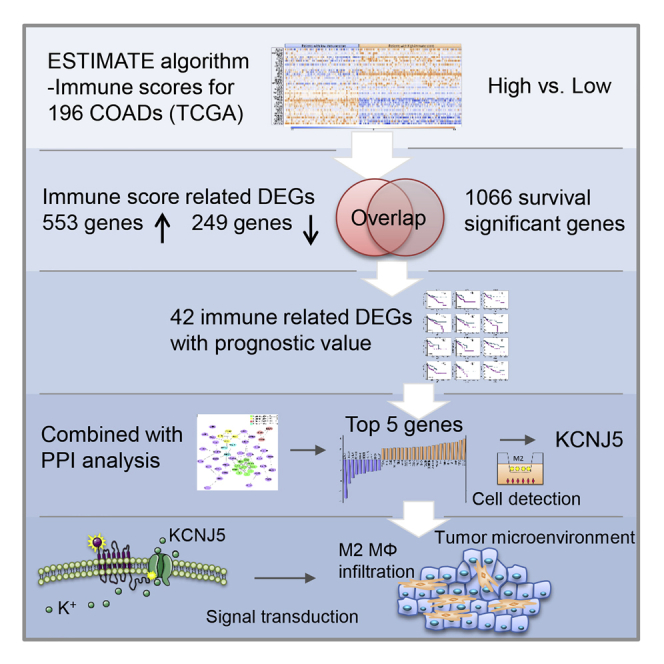 graphic file with name fx1.jpg