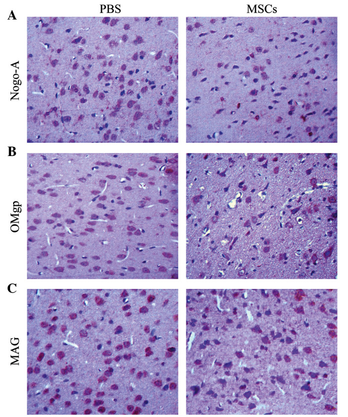 Figure 3.