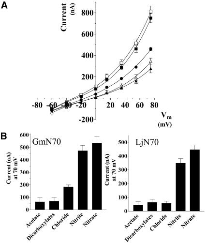 Figure 7.