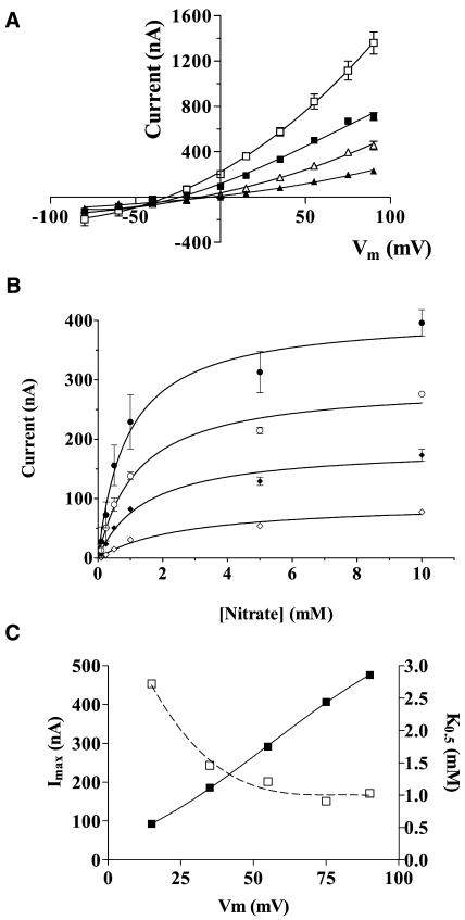 Figure 5.