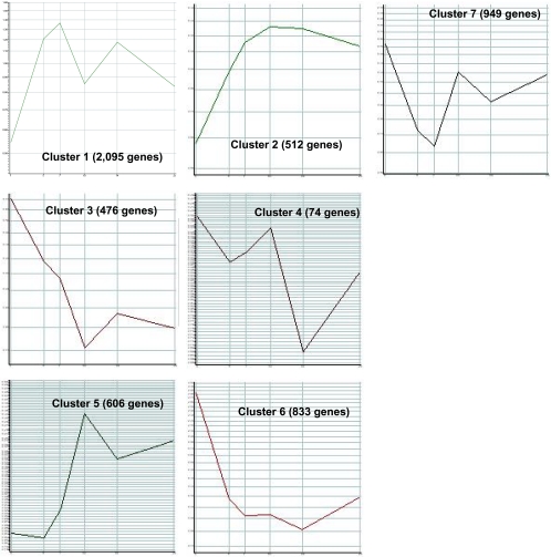 Fig. 3