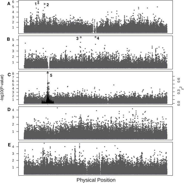 Figure 6.