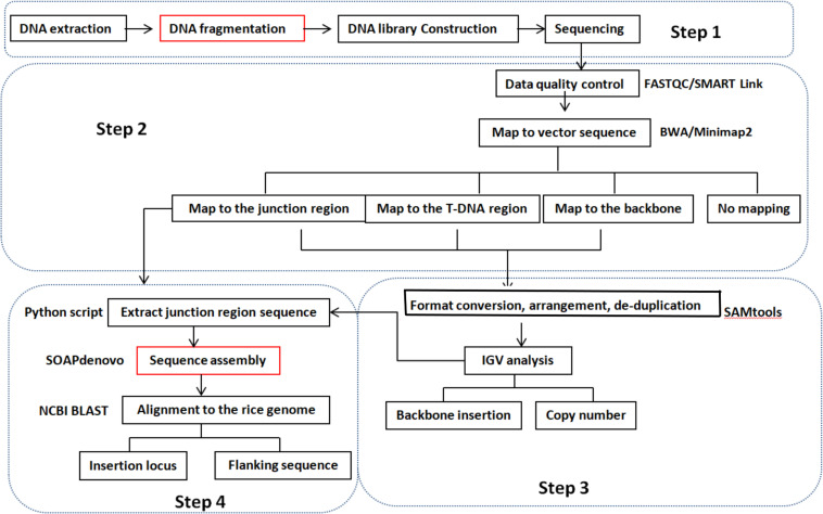 FIGURE 1