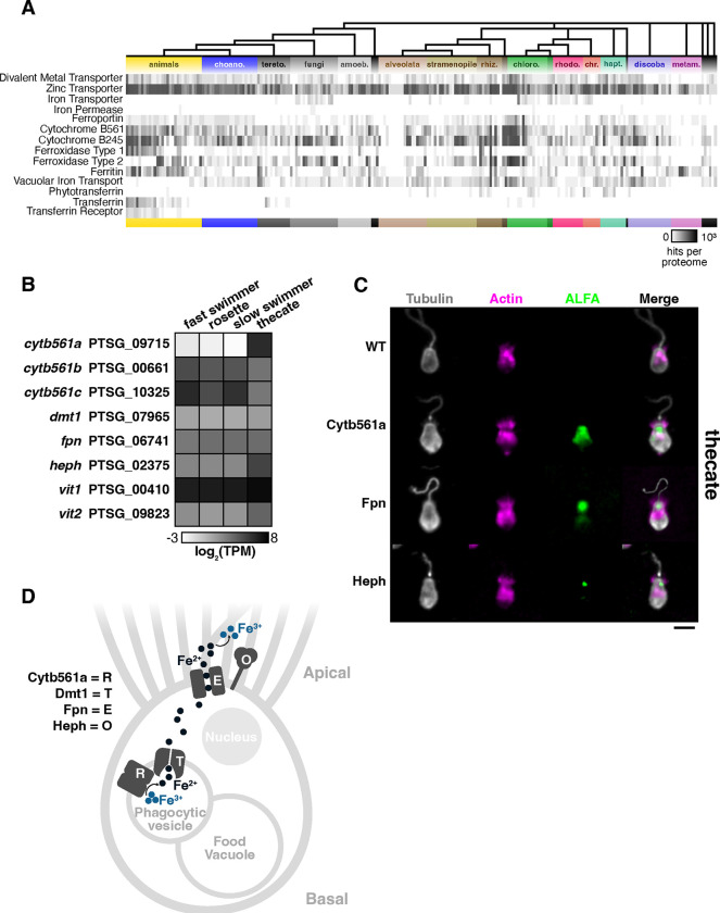 Figure 3: