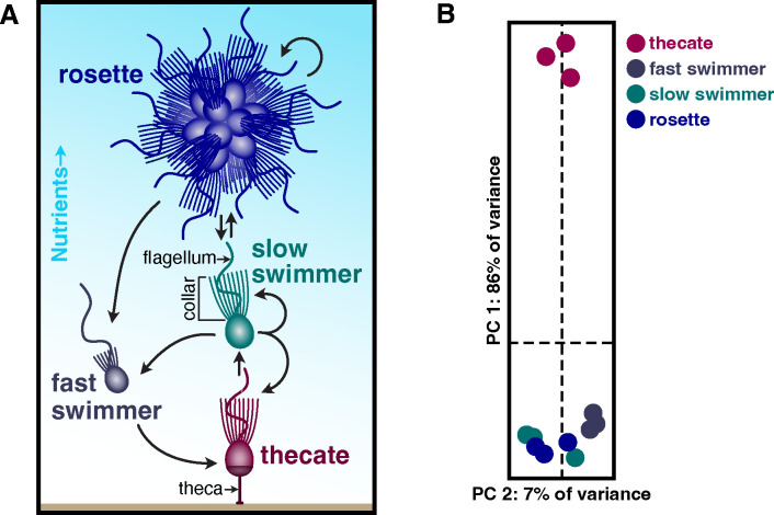 Figure 1: