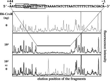 FIG. 5.