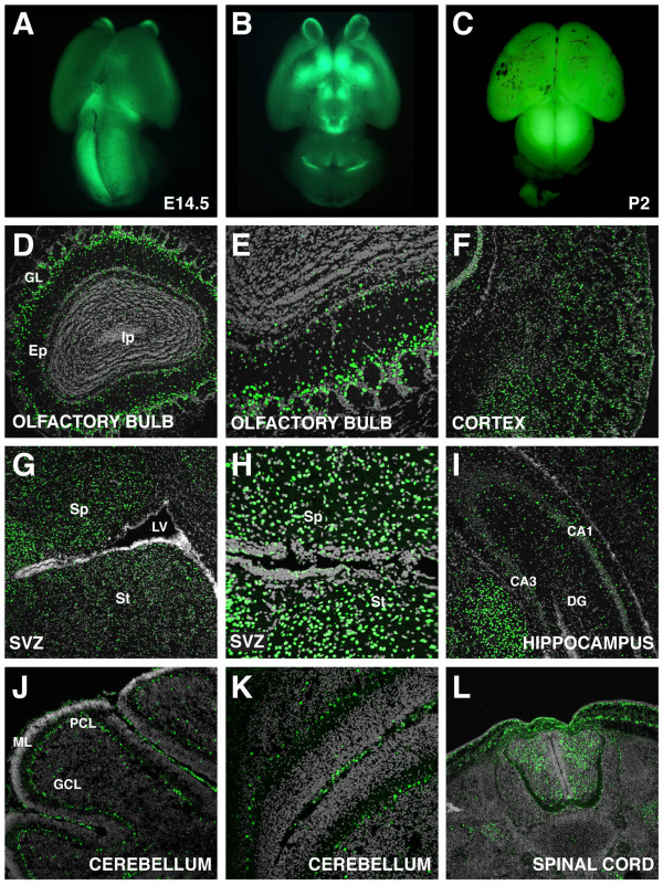 Figure 11