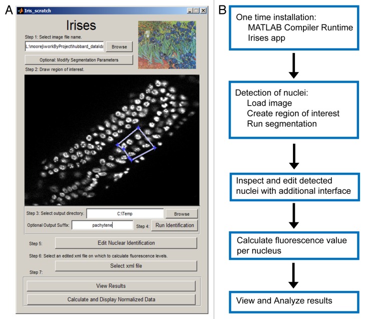 graphic file with name worm-3-e29041-g1.jpg