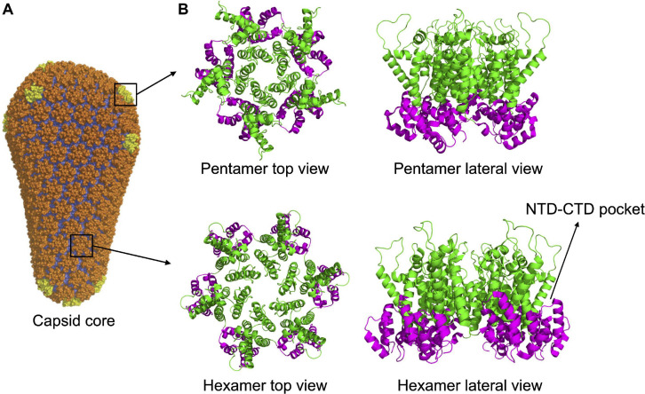 FIGURE 2