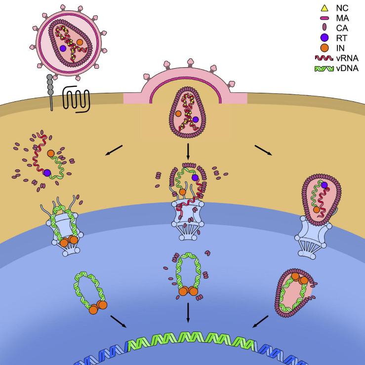 FIGURE 4