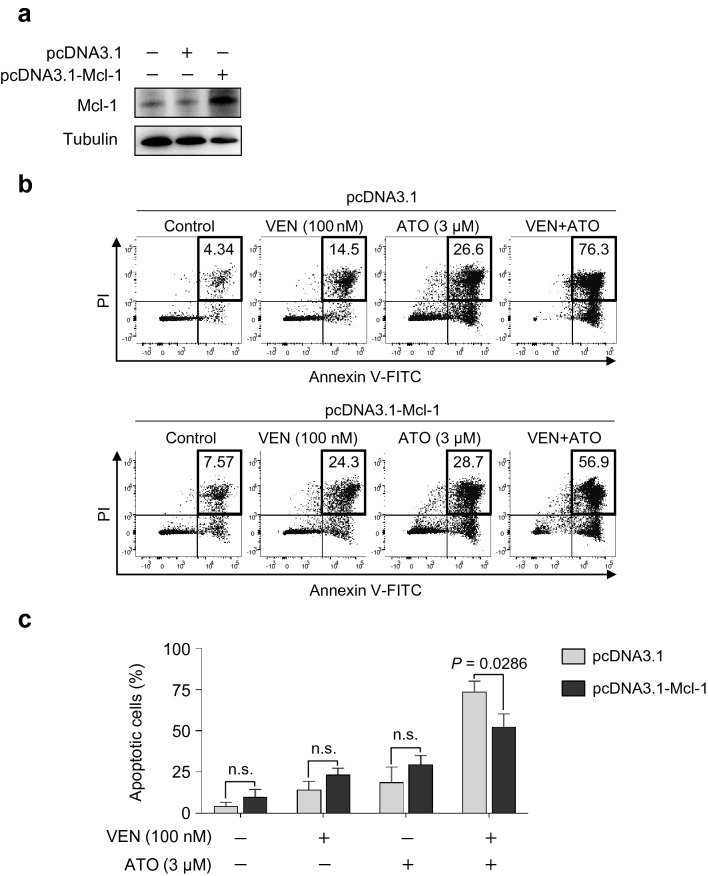 Fig. 6