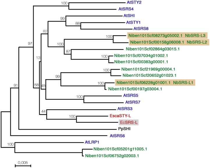 FIGURE 1