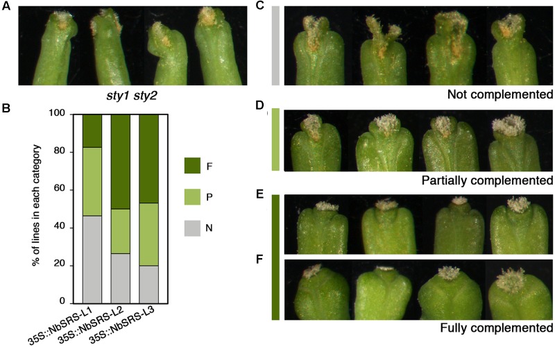 FIGURE 4