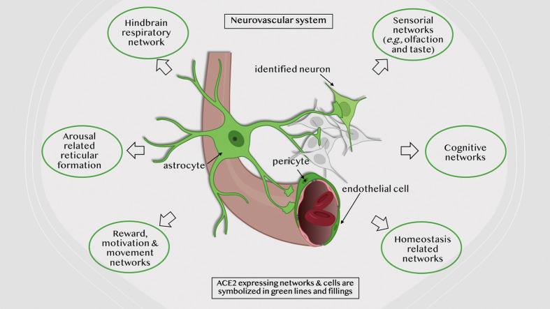 Unlabelled Image