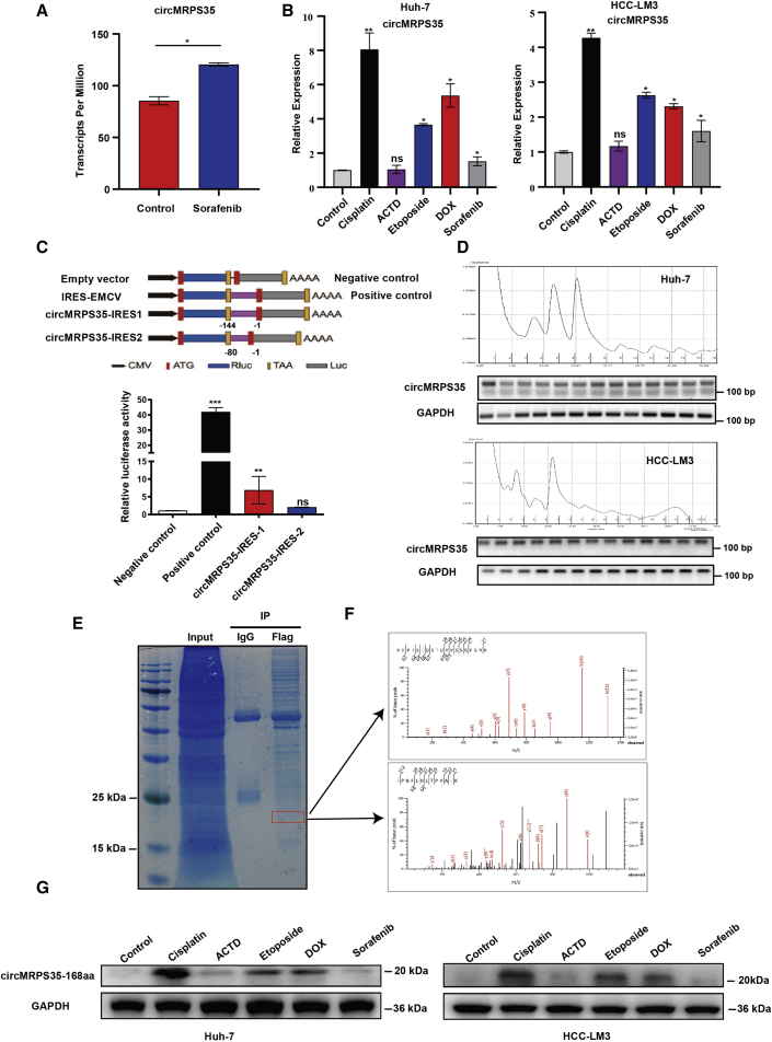 Figure 6