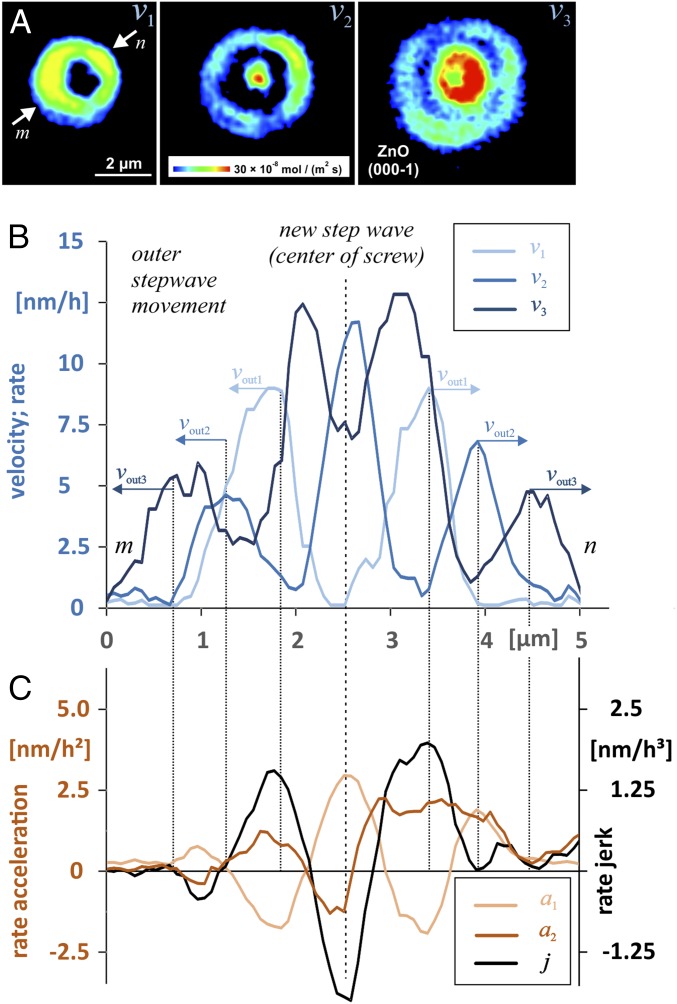 Fig. 3.