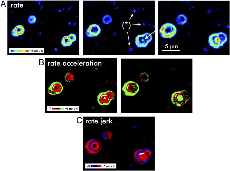 Fig. 2.