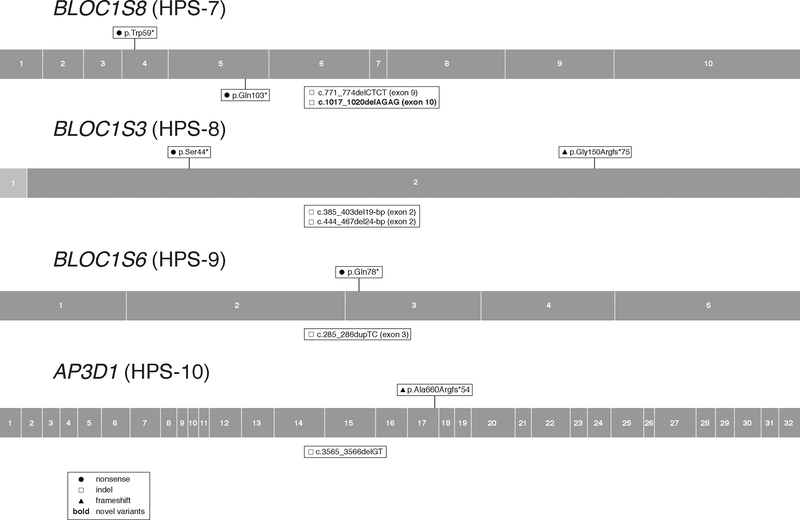 Figure 7: