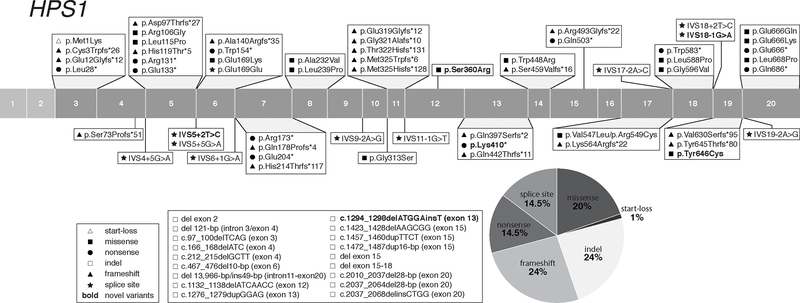 Figure 1: