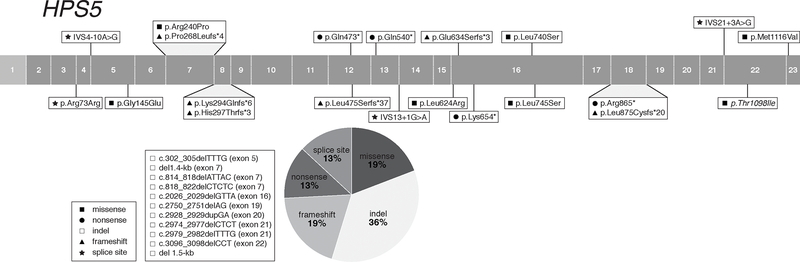 Figure 5: