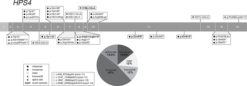 Figure 4: