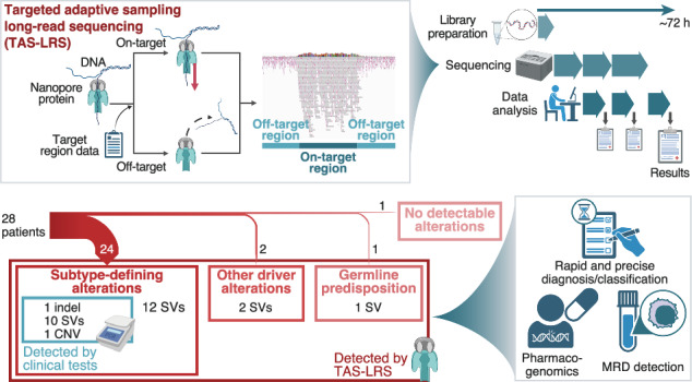 graphic file with name 41408_2024_1108_Figa_HTML.jpg