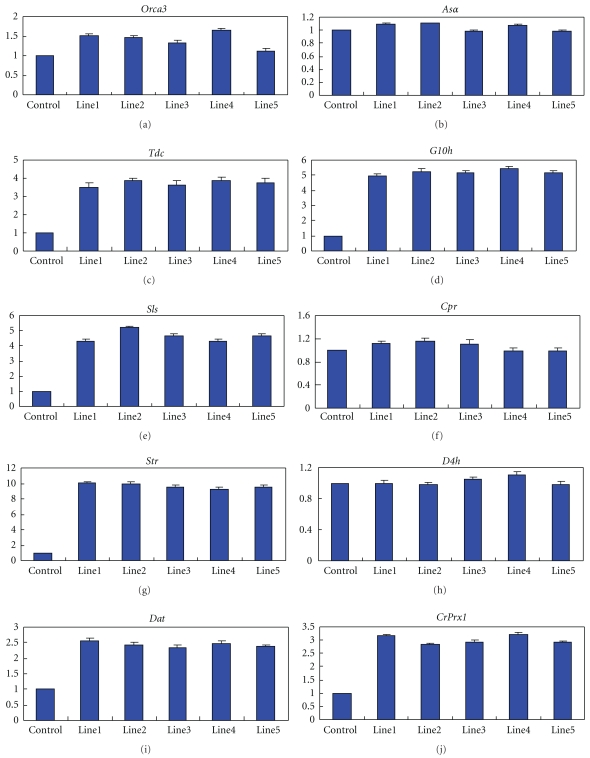 Figure 5