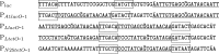 Fig.1