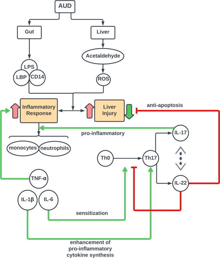 Figure 5