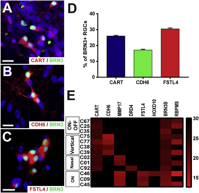 Figure 3