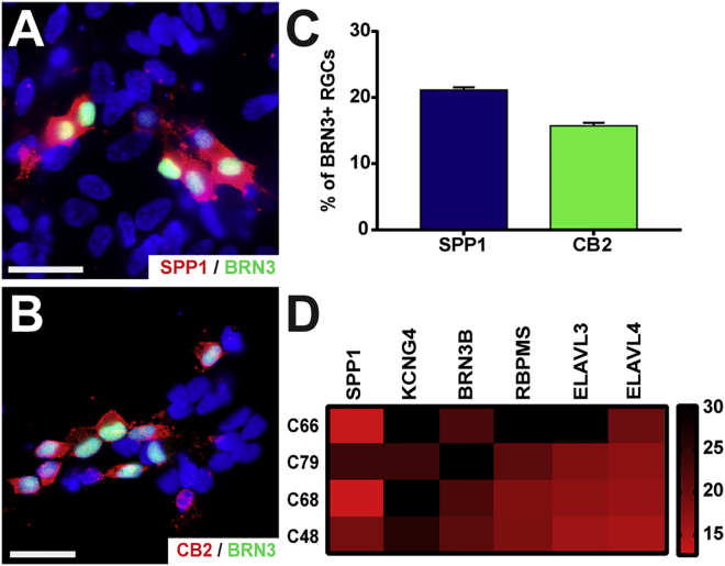 Figure 4