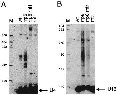 FIG. 6