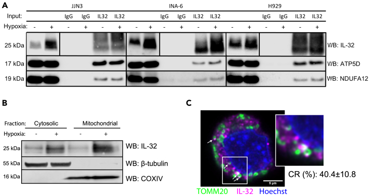 Figure 2