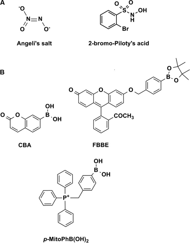 FIGURE 1.