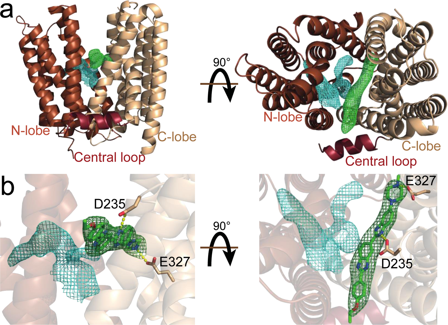 Figure 2.