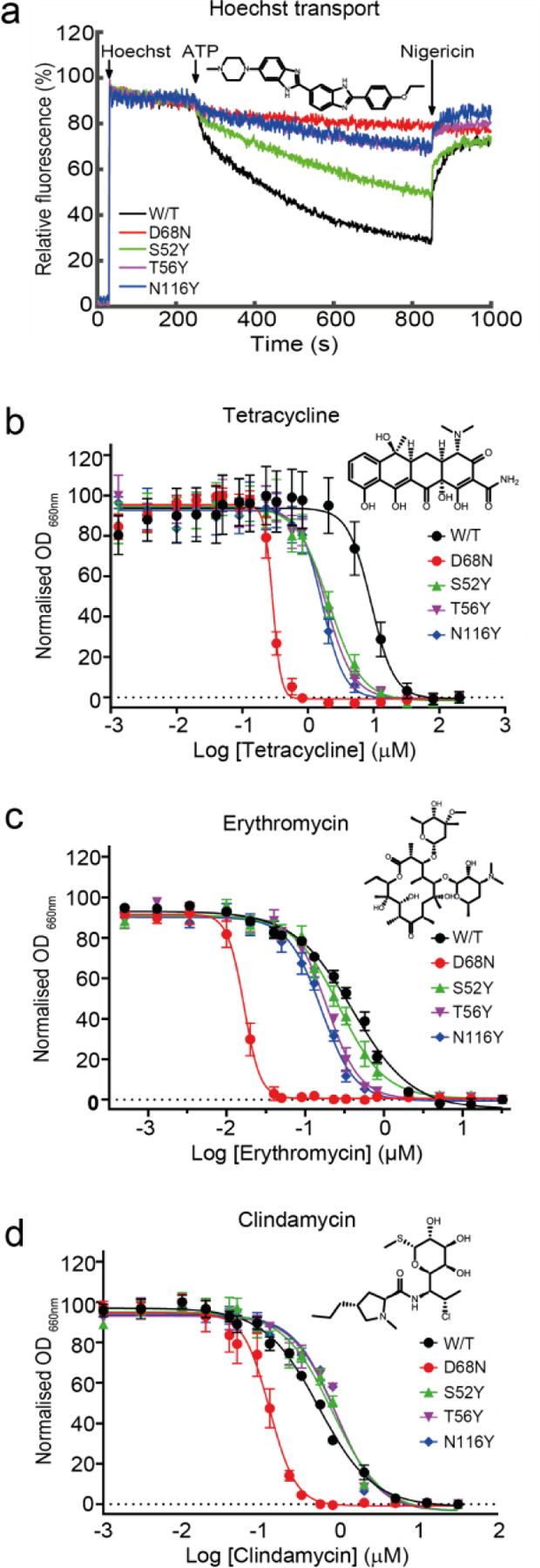 Figure 5.