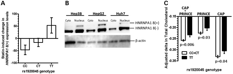 Figure 7.