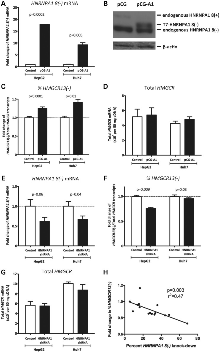 Figure 2.