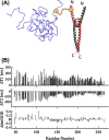 Fig. 10