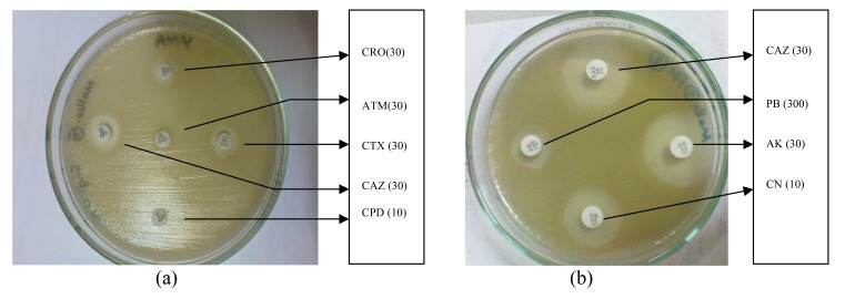 Fig. (3)