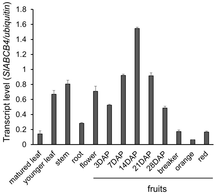 Figure 4