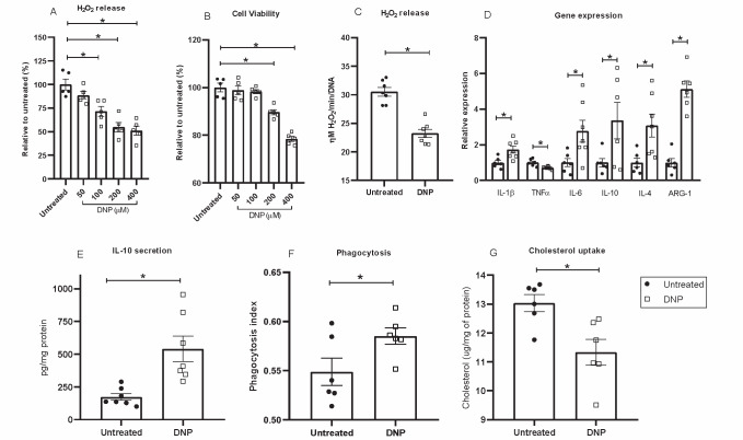 
Fig.5. In vitro effects of DNP on LDLr-/- peritoneal macrophage H2O2 production (A, C), cell viability (B), inflammation related gene expression (D), IL-10 secretion (E), phagocytic activity (F) and cholesterol uptake upon incubation with oxidized LDL (50 µg/mL) (G)
