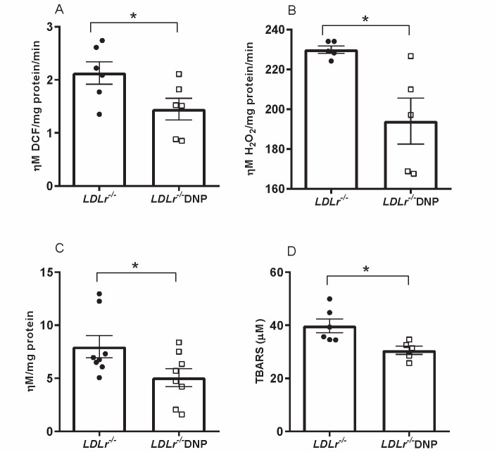 
Fig.2. Systemic and liver oxidative damage markers and oxidant production by isolated liver mitochondria in male LDL receptor knockout mice (LDLr−/−) treated with or without 2,4-dinitrophenol (DNP)
