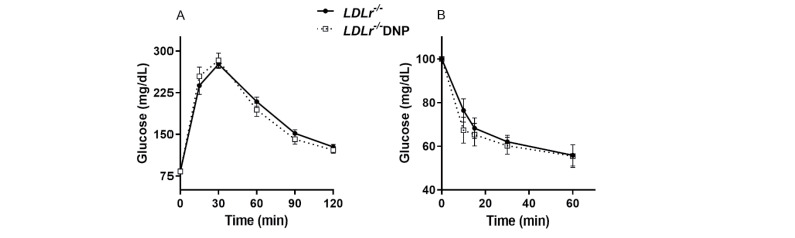 
Supplementary Fig.1. Glucose and insulin tolerance tests in LDL receptor knockout mice (LDLr−/−) treated with or without 2,4-dinitrophenol (DNP)
