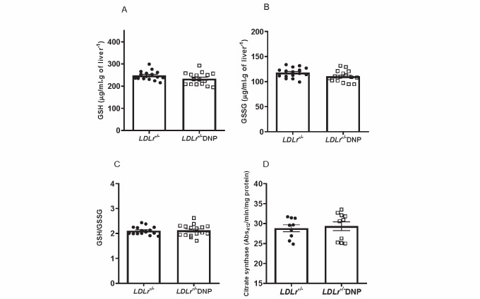 
Supplementary Fig.2. Hepatic levels of reduced and oxidized glutathione and citrate synthase activity of LDL receptor knockout mice (LDLr−/−) treated with or without 2,4-dinitrophenol (DNP)
