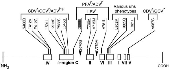 FIG. 5