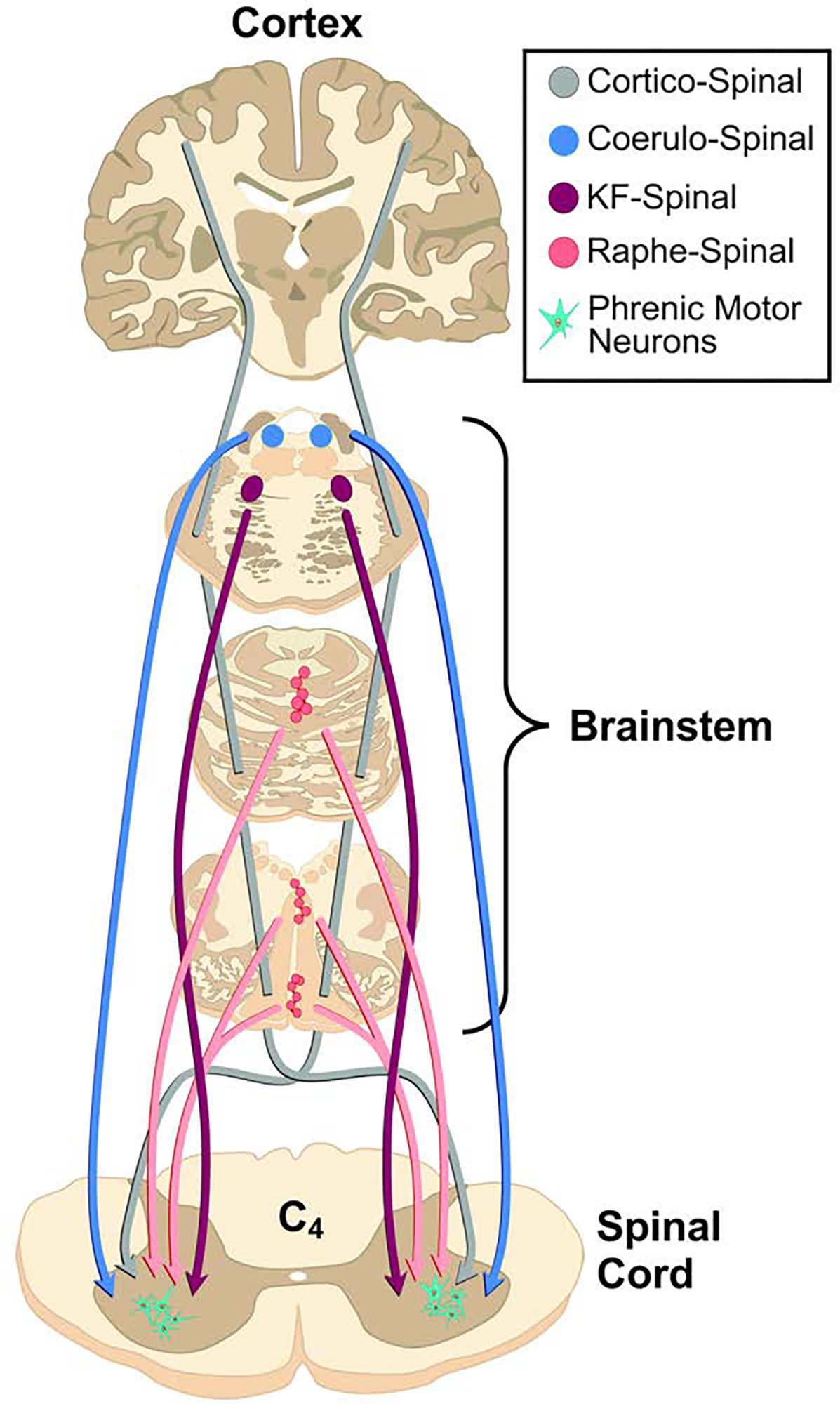 Figure 5.