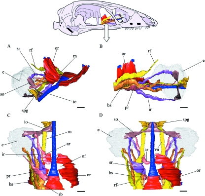 Fig. 7